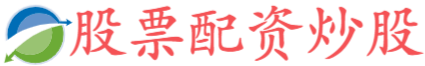维嘉资本