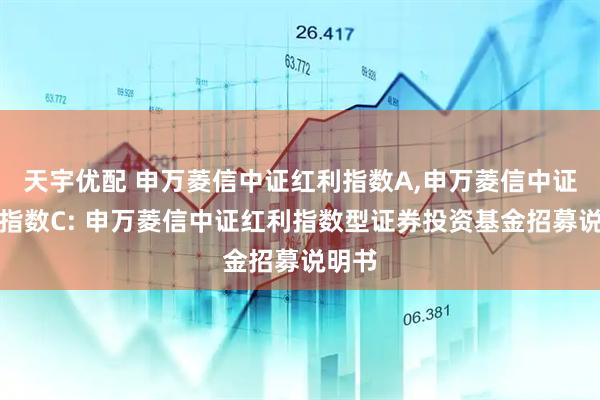 天宇优配 申万菱信中证红利指数A,申万菱信中证红利指数C: 申万菱信中证红利指数型证券投资基金招募说明书
