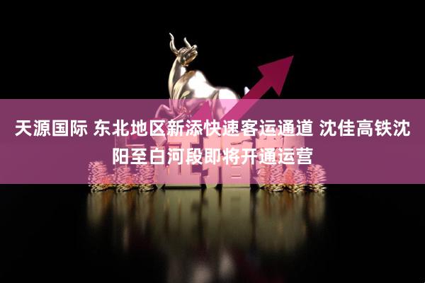 天源国际 东北地区新添快速客运通道 沈佳高铁沈阳至白河段即将开通运营