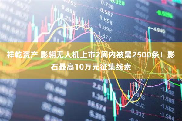 祥乾资产 影翎无人机上市2周内被黑2500条！影石最高10万元征集线索